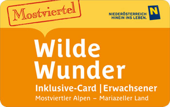 WildeWunderCard-3